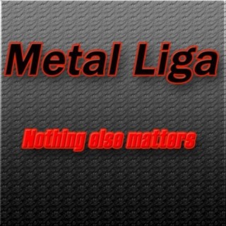 Metal Liga
