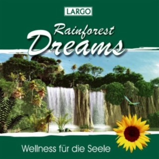 Rainforest Dreams - Stimmungsvolle Naturgeräusche mit Entspannungsmusik (GEMA-frei)