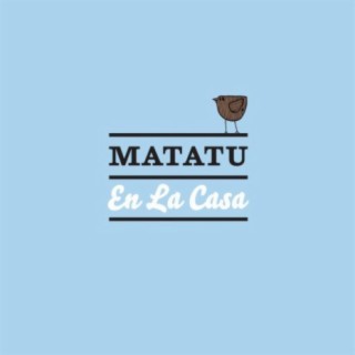 Matatu