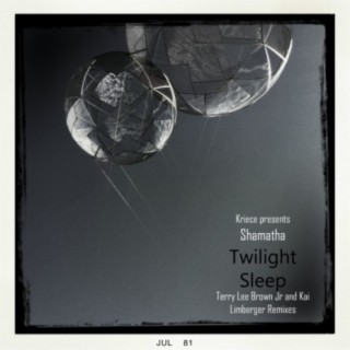 Twilight Sleep Remix EP