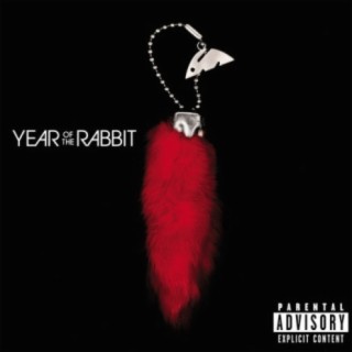 Year Of The Rabbit