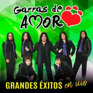 Grandes Éxitos (En Vivo)