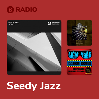 Seedy Jazz Radio