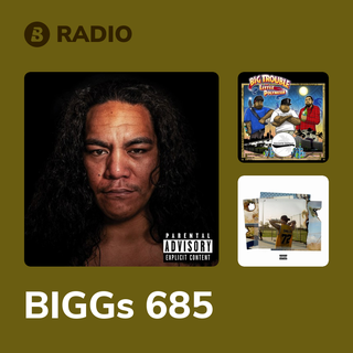 BIGGs 685 Radio