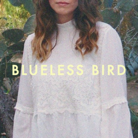 Blueless Bird