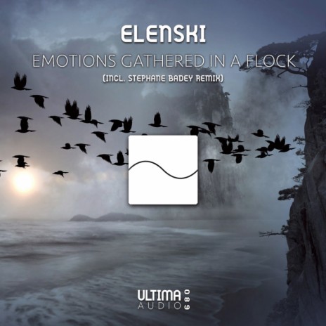 Emotions Gathered In A Flock (Stephane Badey Remix)