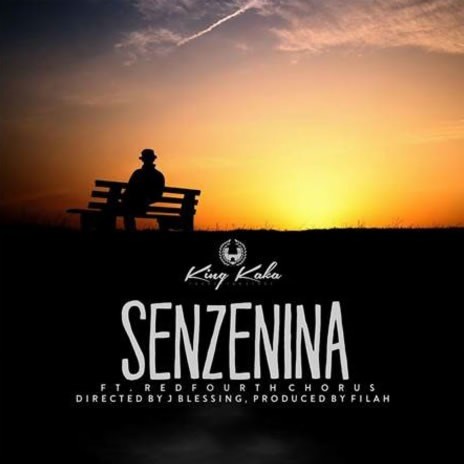 Senzenina | Boomplay Music