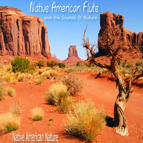 Navajo Peace, And Nature by American Nature-Boomplay