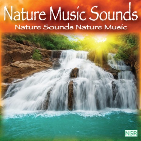 apt historisk Ejendommelige Ambient Nature Sounds by Nature Music Sounds-Boomplay Music