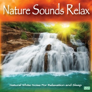 Afgift Dalset svejsning Download Nature Sounds Relax album songs: Nature Sounds: Relax | Boomplay  Music