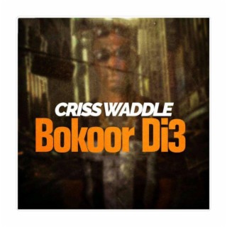 Bokoor Di3
