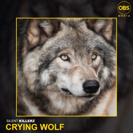 Crying Wolf (Original Mix) | Boomplay Music