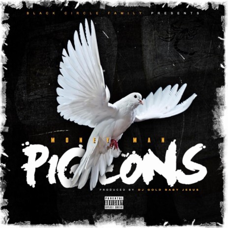 Pigeons | Boomplay Music