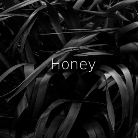 Honey | Boomplay Music