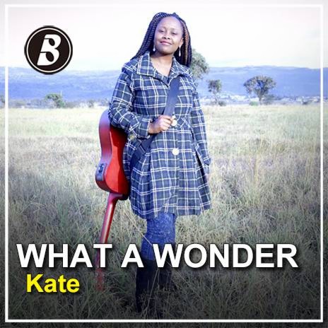 What A Wonder | Boomplay Music