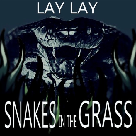 Snakes in the Grass | Boomplay Music