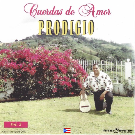 Amar y Querer | Boomplay Music