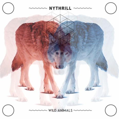 Nythrill - Wild Animals MP3 Download & Lyrics | Boomplay