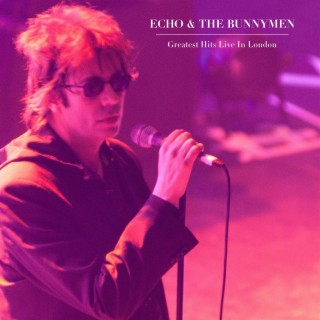 echo and the bunnymen free discography download
