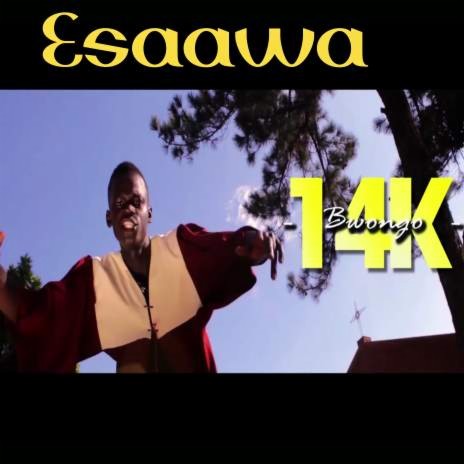 Esaawa | Boomplay Music