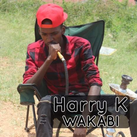 Wakabi | Boomplay Music