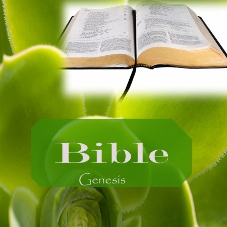 Genesis Bible, Pt. 1