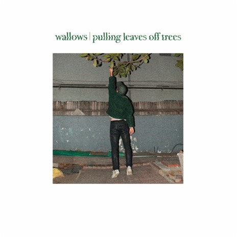 Pulling Leaves off Trees | Boomplay Music