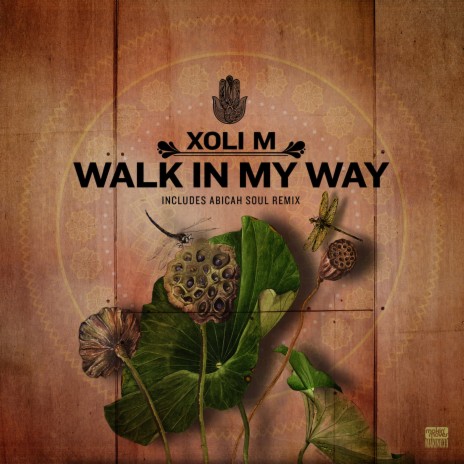 Walk in My Way (Abicah Soul Remix) | Boomplay Music