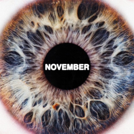 Summer in November | Boomplay Music