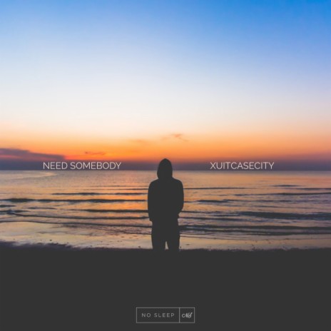 Need Somebody (Remix) | Boomplay Music