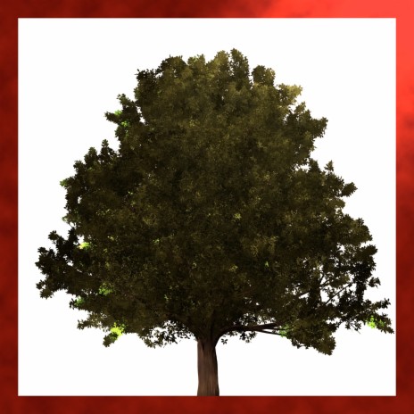 Tree Of Freedom | Boomplay Music