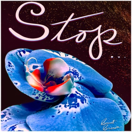 Stop | Boomplay Music