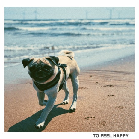 To Feel Happy