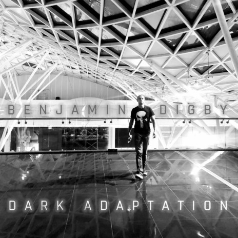 Dark Adaptation | Boomplay Music