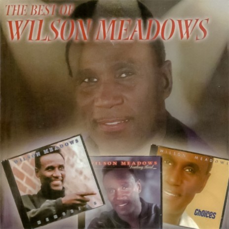Wings Compound Attach to Keep It Alive - Wilson Meadows MP3 download | Keep It Alive - Wilson  Meadows Lyrics | Boomplay Music