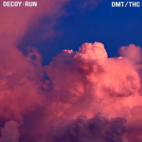 run dmt download