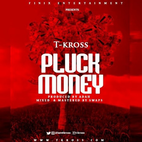Pluck Money | Boomplay Music