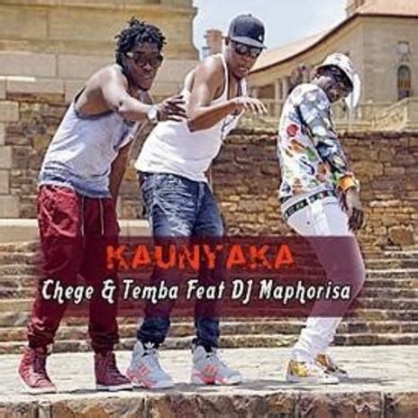 Kaunyaka Ft. DJ Mapholisa | Boomplay Music