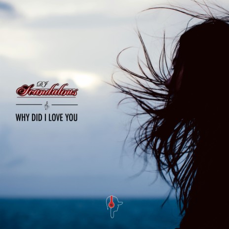Why Did I Love You | Boomplay Music