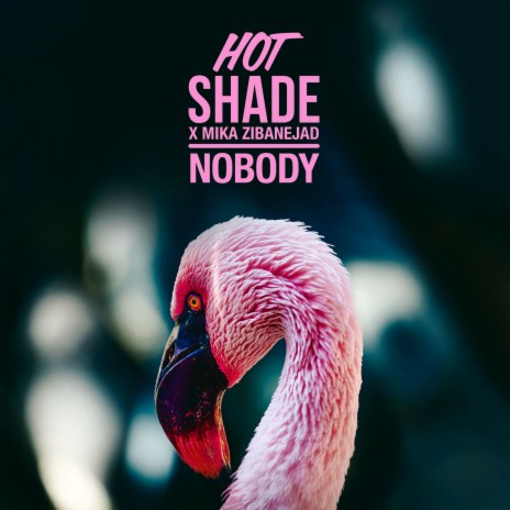 Nobody ft. Mika Zibanejad | Boomplay Music