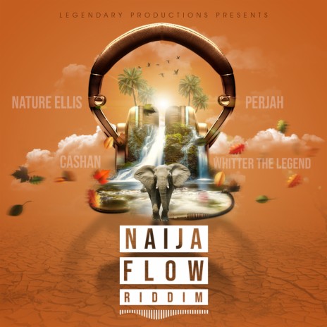 Naija Flow Riddim | Boomplay Music