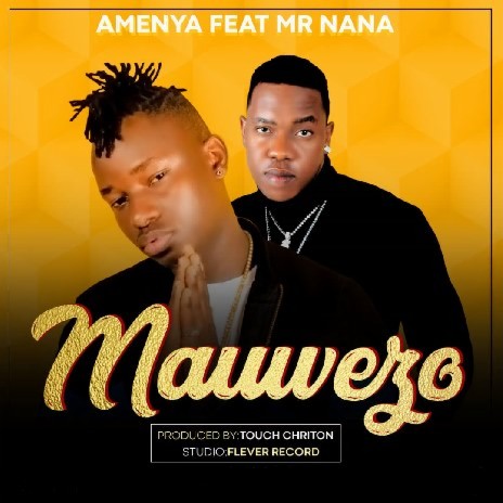Mauwezo ft. Mr. Nana