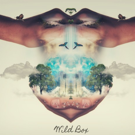 Wild Box | Boomplay Music
