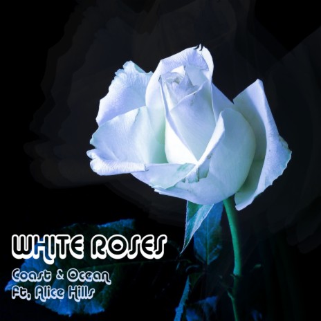 White Roses ft. Alice Hills | Boomplay Music