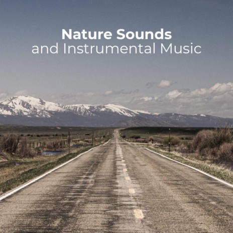 Relaxing Background Music - RW Instrumental Music with Nature Sounds MP3  download | Relaxing Background Music - RW Instrumental Music with Nature  Sounds Lyrics | Boomplay Music