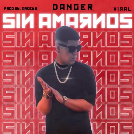 SIN AMARNOS | Boomplay Music