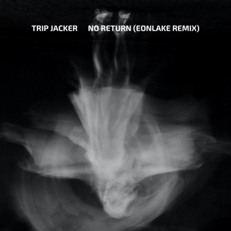 No Return (Eonlake Remix) ft. Eonlake | Boomplay Music