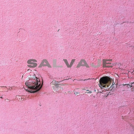 Salvaje | Boomplay Music