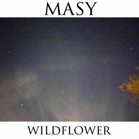 Wildflower | Boomplay Music