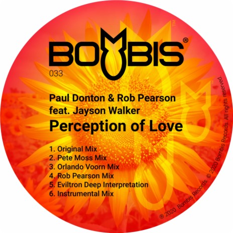 Perception Of Love (Orlando Voorn Mix) ft. Rob Pearson & Jayson Walker | Boomplay Music